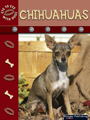 cover image of Chihuahuas